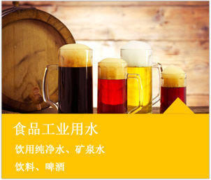 食品工業用水系統解決方案/